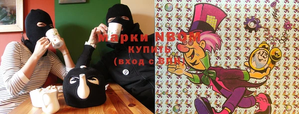 крисы Майский