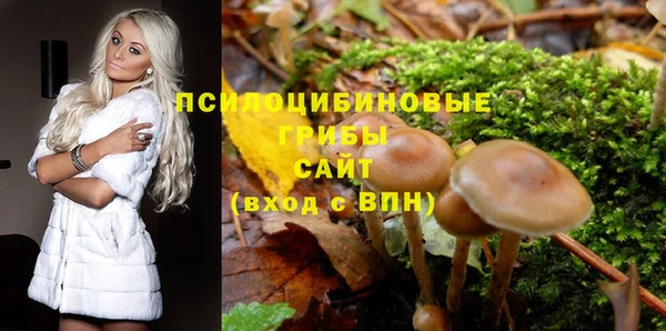 крисы Майский