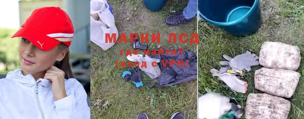 крисы Майский