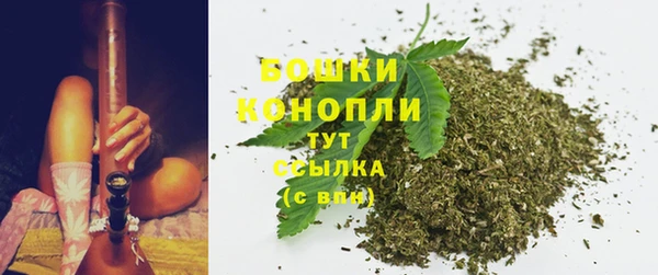 молекула духа Магадан