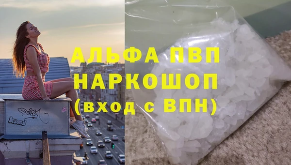 молекула духа Магадан