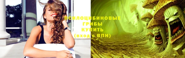 молекула духа Магадан