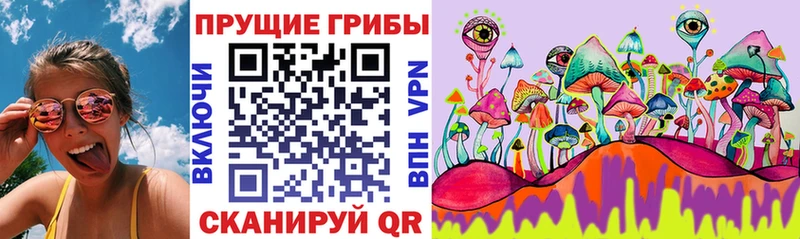 Галлюциногенные грибы GOLDEN TEACHER  Новотроицк 
